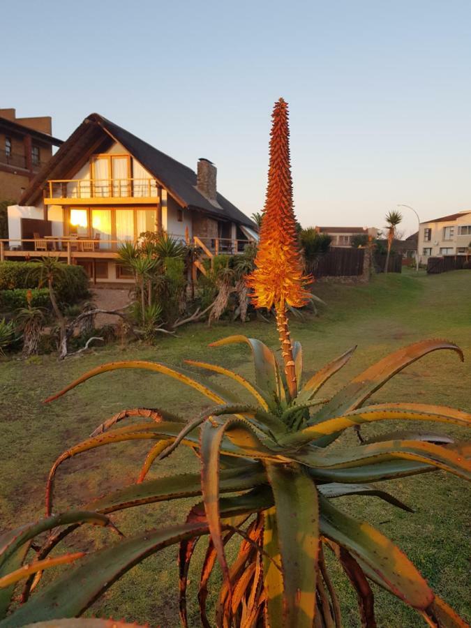 Dreamland Beach House & Studios At Supertubes Jeffreys Bay Esterno foto